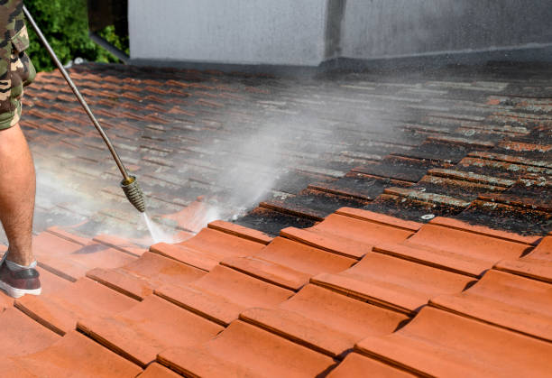 Best Pressure Washing Company Near Me  in Vevay, IN
