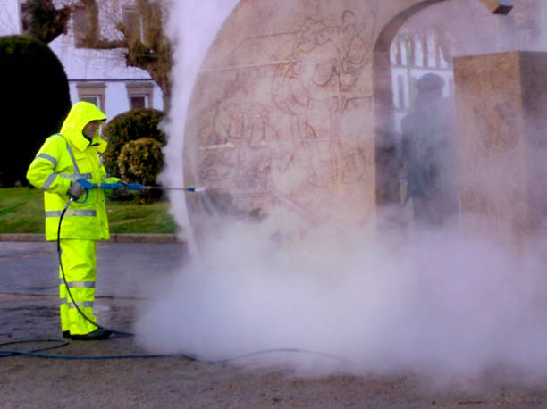 Best Exterior Home Cleaning  in Vevay, IN